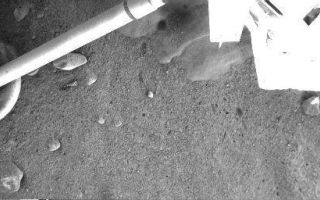 <h1>PIA10762:  Martian Surface Beneath Phoenix</h1><div class="PIA10762" lang="en" style="width:512px;text-align:left;margin:auto;background-color:#000;padding:10px;max-height:150px;overflow:auto;"><p>This image shows the landing site of NASA's Phoenix Mars Lander on the fourth Martian day of the mission, or Sol 4 (May 29, 2008). The image was taken by Phoenix's Robotic Arm Camera (RAC). As seen in the top center, the exhaust from the descent engine has blown soil off to reveal either rock or ice, which has not yet been determined.</p><p>The Phoenix Mission is led by the University of Arizona, Tucson, on behalf of NASA. Project management of the mission is by NASA's Jet Propulsion Laboratory, Pasadena, Calif. Spacecraft development is by Lockheed Martin Space Systems, Denver.<br /><br /><a href="http://photojournal.jpl.nasa.gov/catalog/PIA10762" onclick="window.open(this.href); return false;" title="Voir l'image 	 PIA10762:  Martian Surface Beneath Phoenix	  sur le site de la NASA">Voir l'image 	 PIA10762:  Martian Surface Beneath Phoenix	  sur le site de la NASA.</a></div>