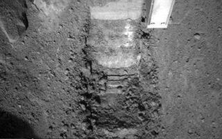<h1>PIA10763:  Phoenix's "Dodo" Trench</h1><div class="PIA10763" lang="en" style="width:512px;text-align:left;margin:auto;background-color:#000;padding:10px;max-height:150px;overflow:auto;"><p>This image was taken by NASA's Phoenix Mars Lander's Robotic Arm Camera (RAC) on the ninth Martian day of the mission, or Sol 9 (June 3, 2008). The center of the image shows a trench informally called "Dodo" after the second dig. "Dodo" is located within the previously determined digging area, informally called "Knave of Hearts." The light square to the right of the trench is the Robotic Arm's Thermal and Electrical Conductivity Probe (TECP). The Robotic Arm has scraped to a bright surface which indicated the Arm has reached a solid structure underneath the surface, which has been seen in other images as well. </p><p>The Phoenix Mission is led by the University of Arizona, Tucson, on behalf of NASA. Project management of the mission is by NASA's Jet Propulsion Laboratory, Pasadena, Calif. Spacecraft development is by Lockheed Martin Space Systems, Denver.<br /><br /><a href="http://photojournal.jpl.nasa.gov/catalog/PIA10763" onclick="window.open(this.href); return false;" title="Voir l'image 	 PIA10763:  Phoenix's "Dodo" Trench	  sur le site de la NASA">Voir l'image 	 PIA10763:  Phoenix's "Dodo" Trench	  sur le site de la NASA.</a></div>