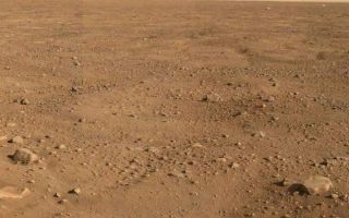 <h1>PIA10792:  Animation of Panorama of Phoenix Landing Area Looking Southeast</h1><div class="PIA10792" lang="en" style="width:640px;text-align:left;margin:auto;background-color:#000;padding:10px;max-height:150px;overflow:auto;"><p><a href="/archive/PIA10792.mov"></a><br />Click on image for animation</p><p>This is an animation of panoramic images taken by NASAs Phoenix Mars Landers Surface Stereo Imager on Sol 15 (June 9, 2008), the 15th Martian day after landing. The panorama looks to the southeast and shows rocks casting shadows, polygons on the surface and as the image looks to the horizon, Phoenixs backshell gleams in the distance. </p><p>The Phoenix Mission is led by the University of Arizona, Tucson, on behalf of NASA. Project management of the mission is by NASAs Jet Propulsion Laboratory, Pasadena, Calif. Spacecraft development is by Lockheed Martin Space Systems, Denver.<br /><br /><a href="http://photojournal.jpl.nasa.gov/catalog/PIA10792" onclick="window.open(this.href); return false;" title="Voir l'image 	 PIA10792:  Animation of Panorama of Phoenix Landing Area Looking Southeast	  sur le site de la NASA">Voir l'image 	 PIA10792:  Animation of Panorama of Phoenix Landing Area Looking Southeast	  sur le site de la NASA.</a></div>