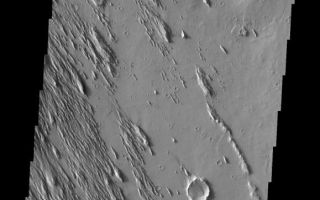 <h1>PIA10805:  Wind Action</h1><div class="PIA10805" lang="en" style="width:579px;text-align:left;margin:auto;background-color:#000;padding:10px;max-height:150px;overflow:auto;"><p><a href="/figures/PIA10805_fig1.jpg"></a><br><b>Context image for PIA10805<br />Wind Action</b></p><p>Wind erosion is an active process on Mars today. The Medusa Fossae region has undergone extreme amounts of wind erosion, revealing an older surface below the easily eroded surface material.<p>Image information: VIS instrument. Latitude 6.9N, Longitude 203.6E. 18 meter/pixel resolution.</p><p>Please see the <a href="http://themis.asu.edu/terms" target="_blank">THEMIS Data Citation Note</a> for details on crediting THEMIS images.</p><p>Note: this THEMIS visual image has not been radiometrically nor geometrically calibrated for this preliminary release. An empirical correction has been performed to remove instrumental effects. A linear shift has been applied in the cross-track and down-track direction to approximate spacecraft and planetary motion. Fully calibrated and geometrically projected images will be released through the Planetary Data System in accordance with Project policies at a later time.</p><p>NASA's Jet Propulsion Laboratory manages the 2001 Mars Odyssey mission for NASA's Office of Space Science, Washington, D.C. The Thermal Emission Imaging System (THEMIS) was developed by Arizona State University, Tempe, in collaboration with Raytheon Santa Barbara Remote Sensing. The THEMIS investigation is led by Dr. Philip Christensen at Arizona State University. Lockheed Martin Astronautics, Denver, is the prime contractor for the Odyssey project, and developed and built the orbiter. Mission operations are conducted jointly from Lockheed Martin and from JPL, a division of the California Institute of Technology in Pasadena.<br /><br /><a href="http://photojournal.jpl.nasa.gov/catalog/PIA10805" onclick="window.open(this.href); return false;" title="Voir l'image 	 PIA10805:  Wind Action	  sur le site de la NASA">Voir l'image 	 PIA10805:  Wind Action	  sur le site de la NASA.</a></div>