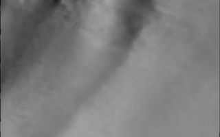 <h1>PIA10847:  Polar Winds</h1><div class="PIA10847" lang="en" style="width:489px;text-align:left;margin:auto;background-color:#000;padding:10px;max-height:150px;overflow:auto;"><p><a href="/figures/PIA10847_fig1.jpg"></a><br><b>Context image for PIA10847<br />Polar Winds</b></p><p>When winds that have swept across the north polar ice encounter a trough in the ice the laminar flow slows at the base of the trough, producing a turbulent wind regime that is easily recognized in the clouds formed in the trough.<p>Image information: VIS instrument. Latitude 86.8N, Longitude 91.5E. 20 meter/pixel resolution.</p><p>Please see the <a href="http://themis.asu.edu/terms" target="_blank">THEMIS Data Citation Note</a> for details on crediting THEMIS images.</p><p>Note: this THEMIS visual image has not been radiometrically nor geometrically calibrated for this preliminary release. An empirical correction has been performed to remove instrumental effects. A linear shift has been applied in the cross-track and down-track direction to approximate spacecraft and planetary motion. Fully calibrated and geometrically projected images will be released through the Planetary Data System in accordance with Project policies at a later time.</p><p>NASA's Jet Propulsion Laboratory manages the 2001 Mars Odyssey mission for NASA's Office of Space Science, Washington, D.C. The Thermal Emission Imaging System (THEMIS) was developed by Arizona State University, Tempe, in collaboration with Raytheon Santa Barbara Remote Sensing. The THEMIS investigation is led by Dr. Philip Christensen at Arizona State University. Lockheed Martin Astronautics, Denver, is the prime contractor for the Odyssey project, and developed and built the orbiter. Mission operations are conducted jointly from Lockheed Martin and from JPL, a division of the California Institute of Technology in Pasadena.<br /><br /><a href="http://photojournal.jpl.nasa.gov/catalog/PIA10847" onclick="window.open(this.href); return false;" title="Voir l'image 	 PIA10847:  Polar Winds	  sur le site de la NASA">Voir l'image 	 PIA10847:  Polar Winds	  sur le site de la NASA.</a></div>