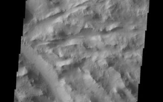 <h1>PIA10861:  Lycus Sulci</h1><div class="PIA10861" lang="en" style="width:560px;text-align:left;margin:auto;background-color:#000;padding:10px;max-height:150px;overflow:auto;"><p><a href="/figures/PIA10861_fig1.jpg"></a><br><b>Context image for PIA10861<br />Lycus Sulci</b></p><p>Dark slope streaks are common in the Lycus Sulci, the hightly fractured materials north of Olympus Mons.<p>Image information: VIS instrument. Latitude 29.0N, Longitude 225.7E. 19 meter/pixel resolution.</p><p>Please see the <a href="http://themis.asu.edu/terms" target="_blank">THEMIS Data Citation Note</a> for details on crediting THEMIS images.</p><p>Note: this THEMIS visual image has not been radiometrically nor geometrically calibrated for this preliminary release. An empirical correction has been performed to remove instrumental effects. A linear shift has been applied in the cross-track and down-track direction to approximate spacecraft and planetary motion. Fully calibrated and geometrically projected images will be released through the Planetary Data System in accordance with Project policies at a later time.</p><p>NASA's Jet Propulsion Laboratory manages the 2001 Mars Odyssey mission for NASA's Office of Space Science, Washington, D.C. The Thermal Emission Imaging System (THEMIS) was developed by Arizona State University, Tempe, in collaboration with Raytheon Santa Barbara Remote Sensing. The THEMIS investigation is led by Dr. Philip Christensen at Arizona State University. Lockheed Martin Astronautics, Denver, is the prime contractor for the Odyssey project, and developed and built the orbiter. Mission operations are conducted jointly from Lockheed Martin and from JPL, a division of the California Institute of Technology in Pasadena.<br /><br /><a href="http://photojournal.jpl.nasa.gov/catalog/PIA10861" onclick="window.open(this.href); return false;" title="Voir l'image 	 PIA10861:  Lycus Sulci	  sur le site de la NASA">Voir l'image 	 PIA10861:  Lycus Sulci	  sur le site de la NASA.</a></div>