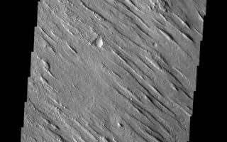 <h1>PIA10884:  Yardangs</h1><div class="PIA10884" lang="en" style="width:554px;text-align:left;margin:auto;background-color:#000;padding:10px;max-height:150px;overflow:auto;"><p><a href="/figures/PIA10884_fig1.jpg"></a><br><b>Context image for PIA10884<br />Yardangs</b></p><p>This VIS image shows a portion of Aeolis Planum. Aeolis Planum is composed of semi-resistant materials which have been eroded into linear ridges called yardangs.<p>Image information: VIS instrument. Latitude 1.7N, Longitude 142.1E. 18 meter/pixel resolution.</p><p>Please see the <a href="http://themis.asu.edu/terms" target="_blank">THEMIS Data Citation Note</a> for details on crediting THEMIS images.</p><p>Note: this THEMIS visual image has not been radiometrically nor geometrically calibrated for this preliminary release. An empirical correction has been performed to remove instrumental effects. A linear shift has been applied in the cross-track and down-track direction to approximate spacecraft and planetary motion. Fully calibrated and geometrically projected images will be released through the Planetary Data System in accordance with Project policies at a later time.</p><p>NASA's Jet Propulsion Laboratory manages the 2001 Mars Odyssey mission for NASA's Office of Space Science, Washington, D.C. The Thermal Emission Imaging System (THEMIS) was developed by Arizona State University, Tempe, in collaboration with Raytheon Santa Barbara Remote Sensing. The THEMIS investigation is led by Dr. Philip Christensen at Arizona State University. Lockheed Martin Astronautics, Denver, is the prime contractor for the Odyssey project, and developed and built the orbiter. Mission operations are conducted jointly from Lockheed Martin and from JPL, a division of the California Institute of Technology in Pasadena.<br /><br /><a href="http://photojournal.jpl.nasa.gov/catalog/PIA10884" onclick="window.open(this.href); return false;" title="Voir l'image 	 PIA10884:  Yardangs	  sur le site de la NASA">Voir l'image 	 PIA10884:  Yardangs	  sur le site de la NASA.</a></div>