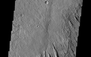 <h1>PIA10894:  Yardangs</h1><div class="PIA10894" lang="en" style="width:554px;text-align:left;margin:auto;background-color:#000;padding:10px;max-height:150px;overflow:auto;"><p><a href="/figures/PIA10894_fig1.jpg"></a><br><b>Context image for PIA10894<br />Yardangs</b></p><p>The linear features in this VIS image are called yardangs. Yardangs are formed when winds erode poorly cemented materials, like those that form Zephyria Planum.<p>Image information: VIS instrument. Latitude 1.1N, Longitude 150.9E. 18 meter/pixel resolution.</p><p>Please see the <a href="http://themis.asu.edu/terms" target="_blank">THEMIS Data Citation Note</a> for details on crediting THEMIS images.</p><p>Note: this THEMIS visual image has not been radiometrically nor geometrically calibrated for this preliminary release. An empirical correction has been performed to remove instrumental effects. A linear shift has been applied in the cross-track and down-track direction to approximate spacecraft and planetary motion. Fully calibrated and geometrically projected images will be released through the Planetary Data System in accordance with Project policies at a later time.</p><p>NASA's Jet Propulsion Laboratory manages the 2001 Mars Odyssey mission for NASA's Office of Space Science, Washington, D.C. The Thermal Emission Imaging System (THEMIS) was developed by Arizona State University, Tempe, in collaboration with Raytheon Santa Barbara Remote Sensing. The THEMIS investigation is led by Dr. Philip Christensen at Arizona State University. Lockheed Martin Astronautics, Denver, is the prime contractor for the Odyssey project, and developed and built the orbiter. Mission operations are conducted jointly from Lockheed Martin and from JPL, a division of the California Institute of Technology in Pasadena.<br /><br /><a href="http://photojournal.jpl.nasa.gov/catalog/PIA10894" onclick="window.open(this.href); return false;" title="Voir l'image 	 PIA10894:  Yardangs	  sur le site de la NASA">Voir l'image 	 PIA10894:  Yardangs	  sur le site de la NASA.</a></div>