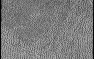 <h1>PIA10895:  Polar Dunes</h1><div class="PIA10895" lang="en" style="width:468px;text-align:left;margin:auto;background-color:#000;padding:10px;max-height:150px;overflow:auto;"><p><a href="/figures/PIA10895_fig1.jpg"></a><br><b>Context image for PIA10895<br />Polar Dunes</b></p><p>This VIS image of north polar dunes illustrates how individual dunes cluster into large sand seas.<p>Image information: VIS instrument. Latitude 73.8N, Longitude 310.3E. 20 meter/pixel resolution.</p><p>Please see the <a href="http://themis.asu.edu/terms" target="_blank">THEMIS Data Citation Note</a> for details on crediting THEMIS images.</p><p>Note: this THEMIS visual image has not been radiometrically nor geometrically calibrated for this preliminary release. An empirical correction has been performed to remove instrumental effects. A linear shift has been applied in the cross-track and down-track direction to approximate spacecraft and planetary motion. Fully calibrated and geometrically projected images will be released through the Planetary Data System in accordance with Project policies at a later time.</p><p>NASA's Jet Propulsion Laboratory manages the 2001 Mars Odyssey mission for NASA's Office of Space Science, Washington, D.C. The Thermal Emission Imaging System (THEMIS) was developed by Arizona State University, Tempe, in collaboration with Raytheon Santa Barbara Remote Sensing. The THEMIS investigation is led by Dr. Philip Christensen at Arizona State University. Lockheed Martin Astronautics, Denver, is the prime contractor for the Odyssey project, and developed and built the orbiter. Mission operations are conducted jointly from Lockheed Martin and from JPL, a division of the California Institute of Technology in Pasadena.<br /><br /><a href="http://photojournal.jpl.nasa.gov/catalog/PIA10895" onclick="window.open(this.href); return false;" title="Voir l'image 	 PIA10895:  Polar Dunes	  sur le site de la NASA">Voir l'image 	 PIA10895:  Polar Dunes	  sur le site de la NASA.</a></div>
