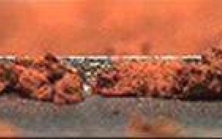 <h1>PIA10918:  Pan and Zoom of 'Rosy Red' Soil in Scoop</h1><div class="PIA10918" lang="en" style="width:640px;text-align:left;margin:auto;background-color:#000;padding:10px;max-height:150px;overflow:auto;"><p><a href="/archive/PIA10918.mov"></a><br /> Click on image to view animation</p><p>This pan and zoom animation shows a microscopic view of fine-grained material at the tip of the Robotic Arm scoop as seen by the Robotic Arm Camera (RAC) aboard NASA's Phoenix Mars Lander on June 20, 2008, the 26th Martian day, or sol, of the mission.</p><p>RAC scientists took this image at a resolution of 30 microns by rotating the scoop to within 11 millimeters of the camera's front lens and refocusing the camera to macro focus. The image shows small clumps of fine, fluffy, red soil particles collected in a sample called 'Rosy Red.' The sample was dug from the trench named 'Snow White' in the area called 'Wonderland.' Some of the Rosy Red sample was delivered to Phoenix's Optical Microscope and Wet Chemistry Laboratory for analysis.</p><p>The RAC provides its own illumination, so the color seen in RAC images is color as seen on Earth, not color as it would appear on Mars.</p><p>The image behind the RAC animation, taken by Phoenix's Surface Stereo Imager also on Sol 26, provides context. (See also <a href="/catalog/PIA10921">PIA10921</a>.)</p><p>The Phoenix Mission is led by the University of Arizona, Tucson, on behalf of NASA. Project management of the mission is by NASA's Jet Propulsion Laboratory, Pasadena, Calif. Spacecraft development is by Lockheed Martin Space Systems, Denver.<br /><br /><a href="http://photojournal.jpl.nasa.gov/catalog/PIA10918" onclick="window.open(this.href); return false;" title="Voir l'image 	 PIA10918:  Pan and Zoom of 'Rosy Red' Soil in Scoop	  sur le site de la NASA">Voir l'image 	 PIA10918:  Pan and Zoom of 'Rosy Red' Soil in Scoop	  sur le site de la NASA.</a></div>
