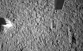 <h1>PIA11072:  Phoenix Conductivity Probe Inserted into Martian Soil</h1><div class="PIA11072" lang="en" style="width:512px;text-align:left;margin:auto;background-color:#000;padding:10px;max-height:150px;overflow:auto;"><p>NASA's Phoenix Mars Lander inserted the four needles of its thermal and conductivity probe into Martian soil during the 98th Martian day, or sol, of the mission and left it in place until Sol 99 (Sept. 4, 2008).</p><p>The Robotic Arm Camera on Phoenix took this image on the morning of Sol 99 while the probe's needles were in the ground. The science team informally named this soil target "Gandalf."</p><p>The thermal and conductivity probe measures how fast heat and electricity move from one needle to an adjacent one through the soil or air between the needles. Conductivity readings can be indicators about water vapor, water ice and liquid water.</p><p>The probe is part of Phoenix's Microscopy, Electrochemistry and Conductivity suite of instruments. </p><p>The Phoenix Mission is led by the University of Arizona, Tucson, on behalf of NASA. Project management of the mission is by NASA's Jet Propulsion Laboratory, Pasadena, Calif. Spacecraft development is by Lockheed Martin Space Systems, Denver.<br /><br /><a href="http://photojournal.jpl.nasa.gov/catalog/PIA11072" onclick="window.open(this.href); return false;" title="Voir l'image 	 PIA11072:  Phoenix Conductivity Probe Inserted into Martian Soil	  sur le site de la NASA">Voir l'image 	 PIA11072:  Phoenix Conductivity Probe Inserted into Martian Soil	  sur le site de la NASA.</a></div>