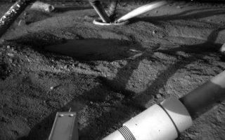<h1>PIA11074:  Underneath Phoenix Lander 97 Sols After Touchdown</h1><div class="PIA11074" lang="en" style="width:512px;text-align:left;margin:auto;background-color:#000;padding:10px;max-height:150px;overflow:auto;"><p>The Robotic Arm Camera on NASA's Phoenix Mars Lander took this image on Sept. 1, 2008, at about 4 a.m. local solar time during the 97th Martian day, or sol, since landing. The view underneath the lander shows growth of the clumps adhering to leg strut (upper left) compared with what was present when a similar image was taken about three months earlier (see <a href="/catalog/PIA10759">PIA10759</a>).</p><p>The view in this Sol 97 image is southward. Illumination is from the early morning sun above the northeastern horizon. This is quite different from the illumination in the Sol 8 image, which was taken in mid-afternoon.</p><p>The science team has discussed various possible explanations for these clumps. One suggestion is that they may have started from a splash of mud if Phoenix's descent engines melted icy soil during the landing. Another is that specks of salt may have landed on the strut and began attracting atmospheric moisture that freezes and accumulates. The clumps are concentrated on the north side of the strut, usually in the shade, so their accumulation could be a consequence of the fact that condensation favors colder surfaces.</p><p>In this image, compared with the one from three months earlier, the flat, smooth patches of ice exposed underneath the lander seem to be partly covered by darker material left behind as ice vaporizes away. The flat patch in the center of the image has the informal name "Holy Cow," based on researchers' reaction when they saw the initial image of it.</p><p>The Phoenix Mission is led by the University of Arizona, Tucson, on behalf of NASA. Project management of the mission is by NASA's Jet Propulsion Laboratory, Pasadena, Calif. Spacecraft development is by Lockheed Martin Space Systems, Denver.<br /><br /><a href="http://photojournal.jpl.nasa.gov/catalog/PIA11074" onclick="window.open(this.href); return false;" title="Voir l'image 	 PIA11074:  Underneath Phoenix Lander 97 Sols After Touchdown	  sur le site de la NASA">Voir l'image 	 PIA11074:  Underneath Phoenix Lander 97 Sols After Touchdown	  sur le site de la NASA.</a></div>