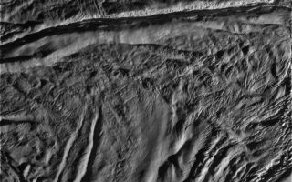 <h1>PIA11107:  Enceladus Rev 80 Flyby Skeet Shoot #7</h1><div class="PIA11107" lang="en" style="width:800px;text-align:left;margin:auto;background-color:#000;padding:10px;max-height:150px;overflow:auto;"><p>This image is the seventh skeet-shoot image taken during Cassini's very close flyby of Enceladus on Aug. 11, 2008.  Damascus Sulcus is crossing the upper part of the image. (The image is upside down from the skeet-shoot footprint shown here.) The image was taken with the Cassini spacecraft narrow-angle camera on Aug. 11, 2008, a distance of approximately 4,742 kilometers (2,947 miles) above the surface of Enceladus. Image scale is approximately 30 meters (98 feet) per pixel.</p><p>The Cassini-Huygens mission is a cooperative project of NASA, the European Space Agency and the Italian Space Agency. The Jet Propulsion Laboratory, a division of the California Institute of Technology in Pasadena, manages the mission for NASA's Science Mission Directorate, Washington, D.C. The Cassini orbiter and its two onboard cameras were designed, developed and assembled at JPL. The imaging operations center is based at the Space Science Institute in Boulder, Colo.</p><p>For more information about the Cassini-Huygens mission visit <a href="http://saturn.jpl.nasa.gov" class="external free" target="wpext">http://saturn.jpl.nasa.gov/</a>. The Cassini imaging team homepage is at <a href="http://ciclops.org" class="external free" target="wpext">http://ciclops.org</a>.<br /><br /><a href="http://photojournal.jpl.nasa.gov/catalog/PIA11107" onclick="window.open(this.href); return false;" title="Voir l'image 	 PIA11107:  Enceladus Rev 80 Flyby Skeet Shoot #7	  sur le site de la NASA">Voir l'image 	 PIA11107:  Enceladus Rev 80 Flyby Skeet Shoot #7	  sur le site de la NASA.</a></div>