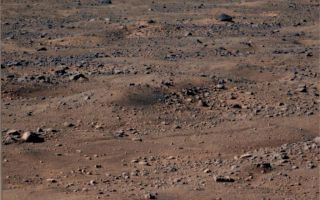 <h1>PIA11132:  Frost on Mars</h1><div class="PIA11132" lang="en" style="width:800px;text-align:left;margin:auto;background-color:#000;padding:10px;max-height:150px;overflow:auto;"><p>This image shows bluish-white frost seen on the Martian surface near NASA's Phoenix Mars Lander. The image was taken by the lander's Surface Stereo Imager on the 131st Martian day, or sol, of the mission (Oct. 7, 2008). Frost is expected to continue to appear in images as fall, then winter approach Mars' northern plains.</p><p>The Phoenix Mission is led by the University of Arizona, Tucson, on behalf of NASA. Project management of the mission is by NASA's Jet Propulsion Laboratory, Pasadena, Calif. Spacecraft development is by Lockheed Martin Space Systems, Denver.<br /><br /><a href="http://photojournal.jpl.nasa.gov/catalog/PIA11132" onclick="window.open(this.href); return false;" title="Voir l'image 	 PIA11132:  Frost on Mars	  sur le site de la NASA">Voir l'image 	 PIA11132:  Frost on Mars	  sur le site de la NASA.</a></div>