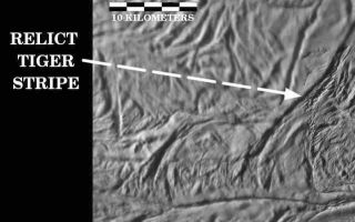 <h1>PIA11137:  Reconstructing the Past on Enceladus</h1><div class="PIA11137" lang="en" style="width:640px;text-align:left;margin:auto;background-color:#000;padding:10px;max-height:150px;overflow:auto;"><p><a href="/archive/PIA11137.mov" class="external free" target="wpext"><br />Movie Clip</a><br />Click on the image for the movie</p><p><p>This video demonstrates two examples of the interpretation of tectonic spreading along the "tiger stripe" fractures in the south polar terrain of Saturn's moon Enceladus. </p><p>The first part of the video shows a simple example in which an old relict tiger stripe is believed to have lost its tip after it was sheared off by tectonic forces and pushed away from its parent by spreading. In the meantime, the parent tiger stripe has managed to regenerate a replacement tip, probably by the creation of new icy crust from upwelling soft ice. The orphaned "clone" now sits by itself, connected to the parent only by two parallel fault lines. </p><p>The movie shows that, if the orphaned tiger stripe tip can be slid along the parallel faults back into place on the parent rift, the fit is remarkably good. Striated material between the clone and the replacement tip represents new icy crust material that must have been created during the spreading process. </p><p>The second part of the video demonstrates how this video-reconstruction technique can be used to infer a possible spreading history of the region between two tiger stripes: Alexandria Sulcus and Cairo Sulcus. The process begins by snipping-out and closing the gap that corresponds to Alexandria Sulcus and its upraised flanks. The gap is closed by matching the remaining right and left edges like a jigsaw puzzle. The closure is accomplished by sliding along a prominent fault nearly perpendicular to one end of Alexandria. This segment of the video is repeated four times with arrows that mark previously offset features that come into alignment after Alexandria is closed. </p><p>Next, Cairo Sulcus is closed along a lower fault that is parallel to the one along which Alexandria was closed. After the Cairo is removed, the closure is continued along the same fault until all of the intervening terrain has been removed. During this process, a mysterious 14-kilometer-sized elliptical feature appears by matching a semi-circular feature that previously existed on the right side of Cairo with the left side of an oval-shaped feature that exists between Alexandria and Cairo. In this way, the gap between Cairo and Alexandria can be closed completely, but there remains a length of the fault that suggests even more spreading may have occurred. Closing the gap all the way along this fault results in the reappearance of a feature that resembles the elliptical structure seen earlier. This feature is perhaps a relict impact crater or the surface expression of a rising warm diapir or icy convection cell. </p><p>This video was created based on images of the south pole of Enceladus taken from this map, see <a href="/catalog/PIA11126">PIA11126</a>.</p><p>The Cassini-Huygens mission is a cooperative project of NASA, the European Space Agency and the Italian Space Agency. The Jet Propulsion Laboratory, a division of the California Institute of Technology in Pasadena, manages the mission for NASA's Science Mission Directorate, Washington, D.C. The Cassini orbiter and its two onboard cameras were designed, developed and assembled at JPL. The imaging operations center is based at the Space Science Institute in Boulder, Colo.</p><p>For more information about the Cassini-Huygens mission visit <a href="http://saturn.jpl.nasa.gov" class="external free" target="wpext">http://saturn.jpl.nasa.gov/</a>. The Cassini imaging team homepage is at <a href="http://ciclops.org" class="external free" target="wpext">http://ciclops.org</a>.<br /><br /><a href="http://photojournal.jpl.nasa.gov/catalog/PIA11137" onclick="window.open(this.href); return false;" title="Voir l'image 	 PIA11137:  Reconstructing the Past on Enceladus	  sur le site de la NASA">Voir l'image 	 PIA11137:  Reconstructing the Past on Enceladus	  sur le site de la NASA.</a></div>