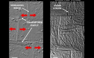 <h1>PIA11138:  Spreading Ridge Transforms On Enceladus</h1><div class="PIA11138" lang="en" style="width:800px;text-align:left;margin:auto;background-color:#000;padding:10px;max-height:150px;overflow:auto;"><p>These two side-by-side images compare a characteristic sea-floor spreading feature on Earth, known as a spreading ridge transform, to a very similar looking arrangement of "tiger stripe" rift segments in the south polar terrain region of Saturn's moon Enceladus. </p><p>The left image shows a shaded relief map of bathymetry (or sonar-like topography) data covering a fast-spreading ridge along the Earth's East Pacific Rise at 9.5 degrees north latitude, 104 degrees west longitude. Spreading ridges are laterally offset in a characteristic "zig-zag" pattern that closely matches the offset pattern seen on the Enceladus tiger stripe rifts. Striations parallel to the seafloor ridges are produced symmetrically when upwelling magma in the rifts solidify and become welded on each side of the central trench. </p><p>In contrast, the transform-like structure on Enceladus (in the image on the right) is flanked by a very complicated arrangement of old fractures. If the Enceladus feature is indeed a type of transform, it indicates spreading in a way that significantly differs from sea-floor spreading: Either the Enceladus feature is not spreading symmetrically from the center of the tiger stripe rifts as usually occurs in terrestrial sea-floor spreading centers, or else the original indicators of symmetrical spreading have been erased by a complicated superposed fracture history. </p><p>The Enceladus data were acquired by NASA's Cassini spacecraft's imaging science sub-system during four close-targeted flybys of Enceladus in March, August and October 2008. </p><p>The Cassini-Huygens mission is a cooperative project of NASA, the European Space Agency and the Italian Space Agency. The Jet Propulsion Laboratory, a division of the California Institute of Technology in Pasadena, manages the mission for NASA's Science Mission Directorate, Washington, D.C. The Cassini orbiter and its two onboard cameras were designed, developed and assembled at JPL. The imaging operations center is based at the Space Science Institute in Boulder, Colo.</p><p>For more information about the Cassini-Huygens mission visit <a href="http://saturn.jpl.nasa.gov" class="external free" target="wpext">http://saturn.jpl.nasa.gov/</a>. The Cassini imaging team homepage is at <a href="http://ciclops.org" class="external free" target="wpext">http://ciclops.org</a>.</p><p>Sea-floor bathymetry data ©2008 MGDS; www.marine-geo.org from Carbotte, S.M., R. Arko, D.N. Chayes, W. Haxby, K. Lehnert, S. O'Hara, W.B.F. Ryan, R.A. Weissel, T. Shipley, L. Gahagan, K. Johnson, T. Shank (2004), New Integrated Data Management System for Ridge2000 and MARGINS Research, Eos Trans. AGU, 85(51), 553, DOI: 10.1029/2004EO510002.]<br /><br /><a href="http://photojournal.jpl.nasa.gov/catalog/PIA11138" onclick="window.open(this.href); return false;" title="Voir l'image 	 PIA11138:  Spreading Ridge Transforms On Enceladus	  sur le site de la NASA">Voir l'image 	 PIA11138:  Spreading Ridge Transforms On Enceladus	  sur le site de la NASA.</a></div>