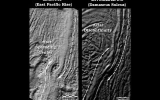 <h1>PIA11139:  Enceladus Offset Spreading Center</h1><div class="PIA11139" lang="en" style="width:800px;text-align:left;margin:auto;background-color:#000;padding:10px;max-height:150px;overflow:auto;"><p>These two side-by-side images compare a "twisted" sea-floor spreading feature on Earth, known as an Offset Spreading Center (OSC), to a very similar looking twisted break, or axial discontinuity, in the Damascus Sulcus "tiger stripe" on Saturn's moon Enceladus. The image of Enceladus was acquired by NASA's Cassini spacecraft imaging science sub-system during one of its four close targeted flybys of Enceladus in March, August and October 2008. </p><p>The image on the left shows a shaded relief map of bathymetry (or sonar-like topography) data along a spreading ridge on the East Pacific Rise near 9.5 degrees north latitude and 104 minutes west longitude. On Earth, OSC's occur only along fast-spreading ridges—ones that spread faster than about 100 millimeters (4 inches) per year. They do not occur on slow-spreading ridges, like the famous Mid-Atlantic Ridge where spreading rates are often less than 20 millimeters (0.7 inches) per year. </p><p>The axial discontinuity on Enceladus' Damascus Sulcus, shown in the image on the right, twists in the same helical way that the OSC does on Earth. However, the morphological resemblance is no guarantee that both features are caused by fast spreading. </p><p>On Earth OSCs form when two nearly parallel spreading ridges lengthen along their ridge (or long) axes. As the lengthening tips of the ridges pass each other side-by-side in opposite directions, shear forces caused by tectonic spreading between them force the two tips to twist around each other. The twisting tip of each one eventually merges with the "neck" of the other in a "yin-yang" shaped pattern. The result is an oval shaped basin that is surrounded by the twisted ridge tips. </p><p>On Enceladus, the twisted features have not produced an oval basin, but the pattern of the twist is very similar to the terrestrial OSC and probably similar tectonic shear forces, perhaps even tectonic spreading, resulted in this twisted shape. Note that the Enceladus image has been flipped right-to-left to make comparison to the sea-floor feature easier to see. </p><p>The Cassini-Huygens mission is a cooperative project of NASA, the European Space Agency and the Italian Space Agency. The Jet Propulsion Laboratory, a division of the California Institute of Technology in Pasadena, manages the mission for NASA's Science Mission Directorate, Washington, D.C. The Cassini orbiter and its two onboard cameras were designed, developed and assembled at JPL. The imaging operations center is based at the Space Science Institute in Boulder, Colo.</p><p>For more information about the Cassini-Huygens mission visit <a href="http://saturn.jpl.nasa.gov" class="external free" target="wpext">http://saturn.jpl.nasa.gov/</a>. The Cassini imaging team homepage is at <a href="http://ciclops.org" class="external free" target="wpext">http://ciclops.org</a>.</p><p>Sea-floor bathymetry data ©2008 MGDS; www.marine-geo.org from Carbotte, S.M., R. Arko, D.N. Chayes, W. Haxby, K. Lehnert, S. O'Hara, W.B.F. Ryan, R.A. Weissel, T. Shipley, L. Gahagan, K. Johnson, T. Shank (2004), New Integrated Data Management System for Ridge2000 and MARGINS Research, Eos Trans. AGU, 85(51), 553, DOI: 10.1029/2004EO510002.]<br /><br /><a href="http://photojournal.jpl.nasa.gov/catalog/PIA11139" onclick="window.open(this.href); return false;" title="Voir l'image 	 PIA11139:  Enceladus Offset Spreading Center	  sur le site de la NASA">Voir l'image 	 PIA11139:  Enceladus Offset Spreading Center	  sur le site de la NASA.</a></div>