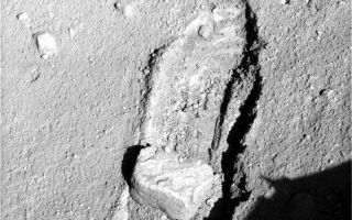 <h1>PIA11191:  Rock Moved by Mars Lander Arm</h1><div class="PIA11191" lang="en" style="width:800px;text-align:left;margin:auto;background-color:#000;padding:10px;max-height:150px;overflow:auto;"><p>The robotic arm on NASA's Phoenix Mars Lander slid a rock out of the way during the mission's 117th Martian day (Sept. 22, 2008) to gain access to soil that had been underneath the rock.The lander's Surface Stereo Imager took the two images for this stereo view later the same day, showing the rock, called "Headless," after the arm pushed it about 40 centimeters (16 inches) from its previous location.</p><p>"The rock ended up exactly where we intended it to," said Matt Robinson of NASA's Jet Propulsion Laboratory, robotic arm flight software lead for the Phoenix team.</p><p>The arm had enlarged the trench near Headless two days earlier in preparation for sliding the rock into the trench. The trench was dug to about 3 centimeters (1.2 inches) deep. The ground surface between the rock's prior position and the lip of the trench had a slope of about 3 degrees downward toward the trench. Headless is about the size and shape of a VHS videotape.</p><p>The Phoenix science team sought to move the rock in order to study the soil and the depth to subsurface ice underneath where the rock had been.</p><p>This image was taken at about 12:30 p.m., local solar time on Mars. The view is to the north northeast of the lander.</p><p>The Phoenix Mission is led by the University of Arizona, Tucson, on behalf of NASA. Project management of the mission is by JPL, Pasadena, Calif. Spacecraft development was by Lockheed Martin Space Systems, Denver.<br /><br /><a href="http://photojournal.jpl.nasa.gov/catalog/PIA11191" onclick="window.open(this.href); return false;" title="Voir l'image 	 PIA11191:  Rock Moved by Mars Lander Arm	  sur le site de la NASA">Voir l'image 	 PIA11191:  Rock Moved by Mars Lander Arm	  sur le site de la NASA.</a></div>