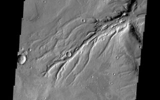 <h1>PIA11259:  Semeykin Drainage</h1><div class="PIA11259" lang="en" style="width:572px;text-align:left;margin:auto;background-color:#000;padding:10px;max-height:150px;overflow:auto;"><p><a href="/figures/PIA11259_fig1.jpg"></a><br><b>Context image for PIA11259<br />Semeykin Drainage</b></p><p>This impressive drainage system empties into Semeykin Crater on the northern margin of Arabia Terra.</p><p>Image information: VIS instrument. Latitude 41.1N, Longitude 7.8E. 19 meter/pixel resolution.</p><p>Please see the <a href="http://themis.asu.edu/terms" target="_blank">THEMIS Data Citation Note</a> for details on crediting THEMIS images.</p><p>Note: this THEMIS visual image has not been radiometrically nor geometrically calibrated for this preliminary release. An empirical correction has been performed to remove instrumental effects. A linear shift has been applied in the cross-track and down-track direction to approximate spacecraft and planetary motion. Fully calibrated and geometrically projected images will be released through the Planetary Data System in accordance with Project policies at a later time.</p><p>NASA's Jet Propulsion Laboratory manages the 2001 Mars Odyssey mission for NASA's Office of Space Science, Washington, D.C. The Thermal Emission Imaging System (THEMIS) was developed by Arizona State University, Tempe, in collaboration with Raytheon Santa Barbara Remote Sensing. The THEMIS investigation is led by Dr. Philip Christensen at Arizona State University. Lockheed Martin Astronautics, Denver, is the prime contractor for the Odyssey project, and developed and built the orbiter. Mission operations are conducted jointly from Lockheed Martin and from JPL, a division of the California Institute of Technology in Pasadena.<br /><br /><a href="http://photojournal.jpl.nasa.gov/catalog/PIA11259" onclick="window.open(this.href); return false;" title="Voir l'image 	 PIA11259:  Semeykin Drainage	  sur le site de la NASA">Voir l'image 	 PIA11259:  Semeykin Drainage	  sur le site de la NASA.</a></div>