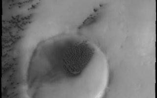 <h1>PIA11278:  Polar Dunes</h1><div class="PIA11278" lang="en" style="width:464px;text-align:left;margin:auto;background-color:#000;padding:10px;max-height:150px;overflow:auto;"><p><a href="/figures/PIA11278_fig1.png"></a><br><b>Context image for PIA11278<br />Polar Dunes</b></p><p>The polar dunes in this image occur on the plains and within the unnamed crater.<p>Image information: VIS instrument. Latitude 76.2N, Longitude 90.7E. 20 meter/pixel resolution.</p><p>Please see the <a href="http://themis.asu.edu/terms" target="_blank">THEMIS Data Citation Note</a> for details on crediting THEMIS images.</p><p>Note: this THEMIS visual image has not been radiometrically nor geometrically calibrated for this preliminary release. An empirical correction has been performed to remove instrumental effects. A linear shift has been applied in the cross-track and down-track direction to approximate spacecraft and planetary motion. Fully calibrated and geometrically projected images will be released through the Planetary Data System in accordance with Project policies at a later time.</p><p>NASA's Jet Propulsion Laboratory manages the 2001 Mars Odyssey mission for NASA's Office of Space Science, Washington, D.C. The Thermal Emission Imaging System (THEMIS) was developed by Arizona State University, Tempe, in collaboration with Raytheon Santa Barbara Remote Sensing. The THEMIS investigation is led by Dr. Philip Christensen at Arizona State University. Lockheed Martin Astronautics, Denver, is the prime contractor for the Odyssey project, and developed and built the orbiter. Mission operations are conducted jointly from Lockheed Martin and from JPL, a division of the California Institute of Technology in Pasadena.<br /><br /><a href="http://photojournal.jpl.nasa.gov/catalog/PIA11278" onclick="window.open(this.href); return false;" title="Voir l'image 	 PIA11278:  Polar Dunes	  sur le site de la NASA">Voir l'image 	 PIA11278:  Polar Dunes	  sur le site de la NASA.</a></div>