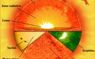 Structure interne du Soleil.gif