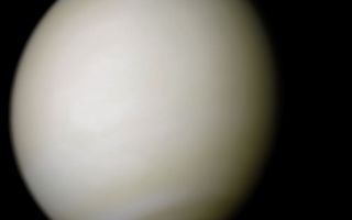 Venus-real_color.jpg