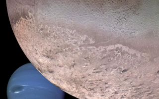 <h1>PIA00340:  Montage of Neptune and Triton</h1><div class="PIA00340" lang="en" style="width:800px;text-align:left;margin:auto;background-color:#000;padding:10px;max-height:150px;overflow:auto;"><p>This computer generated montage shows Neptune as it would appear from a spacecraft approaching Triton, Neptune's largest moon at 2706 km (1683 mi) in diameter. The wind and sublimation-eroded south polar cap of Triton is shown at the bottom of the Triton image, a cryovolcanic terrain at the upper right, and the enigmatic "cantaloupe terrain" at the upper left. Triton's surface is mostly covered by nitrogen frost mixed with traces of condensed methane, carbon dioxide, and carbon monoxide. The tenuous atmosphere of Triton, though only about one-hundredth of one percent of Earth's atmospheric density at the surface, is thick enough to produce wind-deposited streaks of dark and bright materials of unknown composition in the south polar cap region. The southern polar cap was sublimating at the time of the Voyager 2 flyby, as indicated by the irregular and eroded appearance of the edge of the cap. The polar frosts were sublimating because Triton's orbital and rotational motion causes the sun to shine directly on the polar cap for a period of several decades during Neptune's and Triton's long austral summer. Though the polar cap was undergoing "heat death," surface temperatures still were only about 38 K (-391 degrees Fahrenheit).<br /><br /><a href="http://photojournal.jpl.nasa.gov/catalog/PIA00340" onclick="window.open(this.href); return false;" title="Voir l'image 	 PIA00340:  Montage of Neptune and Triton	  sur le site de la NASA">Voir l'image 	 PIA00340:  Montage of Neptune and Triton	  sur le site de la NASA.</a></div>