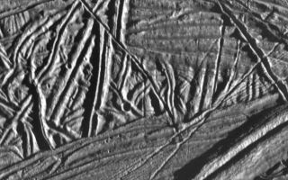 <h1>PIA00849:  Ridges and Fractures on Europa</h1><div class="PIA00849" lang="en" style="width:800px;text-align:left;margin:auto;background-color:#000;padding:10px;max-height:150px;overflow:auto;">This high resolution image of the icy crust of Europa, one of Jupiter's moons, reveals a surface criss-crossed by multiple sets of ridges and fractures. The area covered by this image is approximately 9 miles (15 kilometers) by 7 miles (12 kilometers), located near 15 North, 273 West. North is to the top, and the sun is illuminating the terrain from the right. The large ridge in the lower right corner of the image is approximately 1.5 miles (2.5 kilometers) across, and is one of the youngest features in this image, as it cuts across many of the other features. Note that one ridge has been sheared by a right-lateral fault.<p>This image was taken by the Galileo spacecraft on February 20, 1997 from a distance of 1240 miles (2000 kilometers).<p>The Jet Propulsion Laboratory, Pasadena, CA manages the mission for NASA's Office of Space Science, Washington, DC.<p>This image and other images and data received from Galileo are posted on the World Wide Web, on the Galileo mission home page at URL http://galileo.jpl.nasa.gov. Background information and educational context for the images can be found at <a href="http://www2.jpl.nasa.gov/galileo/sepo/" target="_blank">http://www.jpl.nasa.gov/galileo/sepo</a>..<br /><br /><a href="http://photojournal.jpl.nasa.gov/catalog/PIA00849" onclick="window.open(this.href); return false;" title="Voir l'image 	 PIA00849:  Ridges and Fractures on Europa	  sur le site de la NASA">Voir l'image 	 PIA00849:  Ridges and Fractures on Europa	  sur le site de la NASA.</a></div>