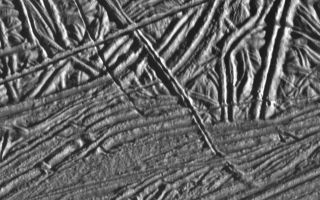 <h1>PIA00851:  Cross-cutting Relationships of Surface Features on Europa</h1><div class="PIA00851" lang="en" style="width:800px;text-align:left;margin:auto;background-color:#000;padding:10px;max-height:150px;overflow:auto;">This image of Jupiter's moon Europa shows a very complex terrain of ridges and fractures. The absence of large craters and the low number of small craters indicates that this surface is geologically young. The relative ages of the ridges can be determined by using the principle of cross-cutting relationships; i.e. older features are cross-cut by younger features. Using this principle, planetary geologists are able to unravel the sequence of events in this seemingly chaotic terrain to unfold Europa's unique geologic history.<p>The spacecraft Galileo obtained this image on February 20, 1997. The area covered in this image is approximately 11 miles (18 kilometers) by 8.5 miles (14 kilometers) across, near 15 North, 273 West. North is toward the top of the image, with the sun illuminating from the right.<p>The Jet Propulsion Laboratory, Pasadena, CA manages the mission for NASA's Office of Space Science, Washington, DC.<p>This image and other images and data received from Galileo are posted on the World Wide Web, on the Galileo mission home page at URL http://galileo.jpl.nasa.gov. Background information and educational context for the images can be found at <a href="http://www2.jpl.nasa.gov/galileo/sepo/" target="_blank">http://www.jpl.nasa.gov/galileo/sepo</a>..<br /><br /><a href="http://photojournal.jpl.nasa.gov/catalog/PIA00851" onclick="window.open(this.href); return false;" title="Voir l'image 	 PIA00851:  Cross-cutting Relationships of Surface Features on Europa	  sur le site de la NASA">Voir l'image 	 PIA00851:  Cross-cutting Relationships of Surface Features on Europa	  sur le site de la NASA.</a></div>