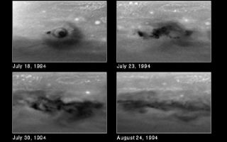 <h1>PIA01265:  Month-long Evolution of the D/G Jupiter Impact Sites from Comet P/Shoemaker-Levy 9</h1><div class="PIA01265" lang="en" style="width:800px;text-align:left;margin:auto;background-color:#000;padding:10px;max-height:150px;overflow:auto;"><p>This series of snapshots, taken with NASA's Hubble Space Telescope, shows evolution of the comet P/Shoemaker-Levy 9 impact region called the D/G complex. This feature was produced by two nuclei of comet P/Shoemaker-Levy 9 that collided with Jupiter on 17 and 18 July 1994, respectively, and was later modified again by the impact of the S fragment on 21 July 1994.<p>Upper Left: This first image was taken about 90 minutes after the G impact on 18 July 1994. Nearly all of the structure in this image was created by the impact of fragment G, although a small dark spot to the left was the remainder of small fragment D that collided one day earlier. The explosion of the nucleus in Jupiter's atmosphere created the unique ring structure, which may be analogous to a "sonic boom" on Earth. Though this structure is best seen for the G impact, it is not unique. Hubble reveals similar rings around several other fresh impact sites. They are all clear evidence for coherent outward motion of this wave phenomena.<p>Upper right: This second image, obtained on 23 July, shows that the Jovian winds have swept the material into a striking "curly-cue" structure.<p>Lower left, right: The structure seen in earlier views has disappeared rapidly in the images taken on 30 July and 24 August, respectively. Almost all of the changes between the images are due to Jupiter's east-west winds that play a key role in the dispersing of the dark material.<p>Hubble Space Telescope's high resolution will allow astronomers to continue to trace the impact debris as it is transported by the Jovian winds. This information promises to advance current understanding of the physics of Jupiter's atmosphere.<p>These black and white images were taken in near-ultraviolet light with the Wide Field Planetary Camera 2. They have been processed to correct for the curvature of Jupiter, so that the impact region appears flat, as if the viewer were hovering directly overhead. Each image is centered on -46 degrees latitude and 28 degrees. The north-south extent in the image spans from -26 to -66 deg. latitude and the east-west extent of the region spans +/- 30 degrees on either side of 28 degrees longitude.<p>This image and other images and data received from the Hubble Space Telescope are posted on the World Wide Web on the Space Telescope Science Institute home page at URL <a href="http://oposite.stsci.edu/" class="external free" target="wpext">http://oposite.stsci.edu/</a>.<br /><br /><a href="http://photojournal.jpl.nasa.gov/catalog/PIA01265" onclick="window.open(this.href); return false;" title="Voir l'image 	 PIA01265:  Month-long Evolution of the D/G Jupiter Impact Sites from Comet P/Shoemaker-Levy 9	  sur le site de la NASA">Voir l'image 	 PIA01265:  Month-long Evolution of the D/G Jupiter Impact Sites from Comet P/Shoemaker-Levy 9	  sur le site de la NASA.</a></div>