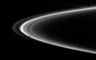 <h1>PIA01382:  A view of Saturn's F-ring</h1><div class="PIA01382" lang="en" style="width:555px;text-align:left;margin:auto;background-color:#000;padding:10px;max-height:150px;overflow:auto;">Voyager 2 obtained this picture of Saturn's F-ring on Aug. 26 just before the spacecraft crossed the planet's ring plane. This edge-on view, taken from a range of 103,000 kilometers (64,000 miles), shows nearly 25` of the F-ring, with at least four distinct components visible. Voyager's photopolarimeter conducted a higher-resolution scan through another part of the ring, showing it to be composed of even more distinct ringlets than this frame would indicate. The Voyager project is managed for NASA by the Jet Propulsion Laboratory, Pasadena, Calif.<br /><br /><a href="http://photojournal.jpl.nasa.gov/catalog/PIA01382" onclick="window.open(this.href); return false;" title="Voir l'image 	 PIA01382:  A view of Saturn's F-ring	  sur le site de la NASA">Voir l'image 	 PIA01382:  A view of Saturn's F-ring	  sur le site de la NASA.</a></div>