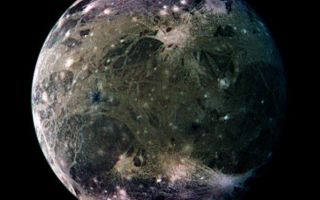 <h1>PIA01666:  Ganymede's Trailing Hemisphere</h1><div class="PIA01666" lang="en" style="width:687px;text-align:left;margin:auto;background-color:#000;padding:10px;max-height:150px;overflow:auto;"><p>In this global view of Ganymede's trailing side, the colors are enhanced to emphasize color differences. The enhancement reveals frosty polar caps in addition to the two predominant terrains on Ganymede, bright, grooved terrain and older, dark furrowed areas. Many craters with diameters up to several dozen kilometers are visible. The violet hues at the poles may be the result of small particles of frost which would scatter more light at shorter wavelengths (the violet end of the spectrum). Ganymede's magnetic field, which was detected by the magnetometer on NASA's Galileo spacecraft in 1996, may be partly responsible for the appearance of the polar terrain. Compared to Earth's polar caps, Ganymede's polar terrain is relatively vast. The frost on Ganymede reaches latitudes as low as 40 degrees on average and 25 degrees at some locations. For comparison with Earth, Miami, Florida lies at 26 degrees north latitude, and Berlin, Germany is located at 52 degrees north.</p><p>North is to the top of the picture. The composite, which combines images taken with green, violet, and 1 micrometer filters, is centered at 306 degrees west longitude. The resolution is 9 kilometers (6 miles) per picture element. The images were taken on 29 March 1998 at a range of 918000 kilometers (570,000 miles) by the Solid State Imaging (SSI) system on NASA's Galileo spacecraft.</p><p>The Jet Propulsion Laboratory, Pasadena, CA manages the Galileo mission for NASA's Office of Space Science, Washington, DC.</p><p>This image and other images and data received from Galileo are posted on the World Wide Web, on the Galileo mission home page at URL<a href="http://solarsystem.nasa.gov/galileo/" target="_blank">http://solarsystem.nasa.gov/galileo/</a>. Background information and educational context for the images can be found at URL<a href="http://www2.jpl.nasa.gov/galileo/sepo/" target="_blank">http://www.jpl.nasa.gov/galileo/sepo</a>."><a href="http://www2.jpl.nasa.gov/galileo/sepo/" target="_blank">http://www.jpl.nasa.gov/galileo/sepo</a>.</a></p><br /><br /><a href="http://photojournal.jpl.nasa.gov/catalog/PIA01666" onclick="window.open(this.href); return false;" title="Voir l'image 	 PIA01666:  Ganymede's Trailing Hemisphere	  sur le site de la NASA">Voir l'image 	 PIA01666:  Ganymede's Trailing Hemisphere	  sur le site de la NASA.</a></div>