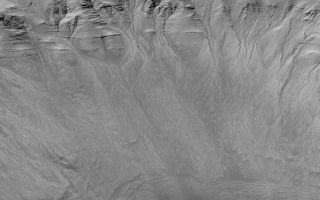 <h1>PIA03916:  Gullies in a Crater Wall in Newton Basin:</h1><div class="PIA03916" lang="en" style="width:800px;text-align:left;margin:auto;background-color:#000;padding:10px;max-height:150px;overflow:auto;">MGS MOC Release No. MOC2-317, 8 August 2002<br><br>One of the advantages of having a high resolution camera orbiting Mars is that whole new classes of martian landforms can be revealed. As first described by Mars Global Surveyor (MGS) Mars Orbiter Camera (MOC) scientists in June 2000, MOC images of 1.5 to 12 meters per pixel (4.9 to 39 feet per pixel) have done just that--revealed a whole new class of martian landform, the mid-latitude gully. Mid-latitude gullies provide the most compelling evidence--though not conclusively--that Mars may have aquifers of groundwater at shallow depths (less than 500 meters, 1640 ft) below the surface. They are found most commonly on pole-facing slopes in craters and troughs at middle to high latitudes. Where multiple gullies are present, they usually emanate from the same layer in a given crater or trough wall.<br><br>The gullies shown here occur on the layered north wall of a crater in Newton Basin near 41.8°S, 158.0°W. The picture was obtained by MOC in May 2002. Dark sand dunes are visible at the bottom of the image, especially at the lower right. This view has an aspect ratio of 1.5 to 1; that is, the image covers an area 4.3 km (2.7 mi) from top to bottom and 2.9 km (1.8 mi) from left to right. Nearly all of the craters in Newton Basin have a plethora of similar gullies, suggesting that Newton is the site of an aquifer. Instead of forming by seepage and runoff of groundwater, other researchers have suggested that martian gullies may form by melting of ground ice, melting of surficial snow (under climate conditions different than today), or discharge of carbon dioxide that somehow became buried under the martian surface. None of these alternatives can explain all of the observed attributes of the gullies, especially their associations with specific layers. Seeping water, potentially as a saline brine, remains the most likely explanation.<br /><br /><a href="http://photojournal.jpl.nasa.gov/catalog/PIA03916" onclick="window.open(this.href); return false;" title="Voir l'image 	 PIA03916:  Gullies in a Crater Wall in Newton Basin:	  sur le site de la NASA">Voir l'image 	 PIA03916:  Gullies in a Crater Wall in Newton Basin:	  sur le site de la NASA.</a></div>