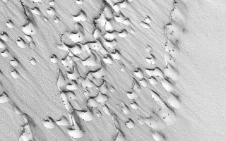 <h1>PIA04804:  Chasma Boreale Dunes</h1><div class="PIA04804" lang="en" style="width:640px;text-align:left;margin:auto;background-color:#000;padding:10px;max-height:150px;overflow:auto;">MGS MOC Release No. MOC2-517, 18 October 2003<p />Frost covers dark sand dunes in this springtime view from Chasma Boreale in the martian north polar region. Dark spots indicate areas where the cold, carbon dioxide frost has begun to sublime away. This Mars Global Surveyor (MGS) Mars Orbiter Camera (MOC) image is located near 84.7°N, 359.3°W and covers an area 3 km (1.9 mi) wide. The scene is illuminated by sunlight from the lower left.<br /><br /><a href="http://photojournal.jpl.nasa.gov/catalog/PIA04804" onclick="window.open(this.href); return false;" title="Voir l'image 	 PIA04804:  Chasma Boreale Dunes	  sur le site de la NASA">Voir l'image 	 PIA04804:  Chasma Boreale Dunes	  sur le site de la NASA.</a></div>