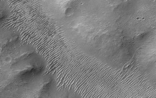 <h1>PIA04837:  Valley Floor</h1><div class="PIA04837" lang="en" style="width:800px;text-align:left;margin:auto;background-color:#000;padding:10px;max-height:150px;overflow:auto;">MGS MOC Release No. MOC2-529, 30 October 2003<p />This Mars Global Surveyor (MGS) Mars Orbiter Camera (MOC) image shows the floor of an ancient valley located near the Pyrrhae Chaos region of Mars. This valley might have been carved by liquid water, but today no evidence remains that a fluid ever flowed through it. Long after the valley formed, its floor was covered by large, windblown, ripple-like dunes. This picture is located near 13.0°S, 31.2°W. The image is illuminated by sunlight from the upper left and covers an area 3 km (1.9 mi) wide.<br /><br /><a href="http://photojournal.jpl.nasa.gov/catalog/PIA04837" onclick="window.open(this.href); return false;" title="Voir l'image 	 PIA04837:  Valley Floor	  sur le site de la NASA">Voir l'image 	 PIA04837:  Valley Floor	  sur le site de la NASA.</a></div>