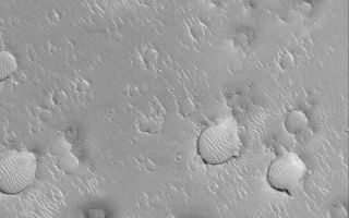 <h1>PIA04838:  Isidis Planitia</h1><div class="PIA04838" lang="en" style="width:800px;text-align:left;margin:auto;background-color:#000;padding:10px;max-height:150px;overflow:auto;">MGS MOC Release No. MOC2-530, 31 October 2003<p />Isidis Planitia is a vast, nearly circular plain centered at 12°N, 273°W. Its circular shape has led Mars researchers to suspect that it is the site of a very ancient, very eroded basin formed by asteroid or comet impact when the planet was still very young. This Mars Global Surveyor (MGS) Mars Orbiter Camera (MOC) image shows a 3 km (1.9 mi) wide view of a typical Isidis Planitia scene. All over Isidis Planitia are found craters, ripple-like, light-toned, windblown dunes, and rugged mounds with summit pits. The mounds with summit pits might mark the location of impact craters that formed in a layer of material that used to cover much of Isidis Planitia, but has been largely stripped away, leaving the floors of former impact craters standing high upon remnants of this formerly more extensive layer. This example is located near 18.2°N, 272.5°W, and is illuminated by sunlight from the lower left.<br /><br /><a href="http://photojournal.jpl.nasa.gov/catalog/PIA04838" onclick="window.open(this.href); return false;" title="Voir l'image 	 PIA04838:  Isidis Planitia	  sur le site de la NASA">Voir l'image 	 PIA04838:  Isidis Planitia	  sur le site de la NASA.</a></div>