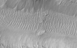 <h1>PIA04845:  Gullies in Nirgal</h1><div class="PIA04845" lang="en" style="width:603px;text-align:left;margin:auto;background-color:#000;padding:10px;max-height:150px;overflow:auto;">MGS MOC Release No. MOC2-535, 5 November 2003<p />This is a Mars Global Surveyor (MGS) Mars Orbiter Camera (MOC) narrow angle image of gullies carved into debris on the south-facing wall of Nirgal Vallis, an ancient martian valley. The gullies were conduits for sediment that has accumulated at a point where each channel met the valley floor. The aprons of debris are superposed upon the large ripple-like dunes, suggesting that the gullies are younger than these bedforms. Gullies such as these might have been formed by a liquid, such as water, seeping from the layered bedrock exposed in the valley wall, or perhaps by mass movement of the smooth-surfaced debris that covers much of the lower two-thirds of the valley wall. This picture is located near 28.6°S, 41.5°W. The image covers an area 3 km (1.9 mi) across and is illuminated by sunlight from the upper left.<br /><br /><a href="http://photojournal.jpl.nasa.gov/catalog/PIA04845" onclick="window.open(this.href); return false;" title="Voir l'image 	 PIA04845:  Gullies in Nirgal	  sur le site de la NASA">Voir l'image 	 PIA04845:  Gullies in Nirgal	  sur le site de la NASA.</a></div>
