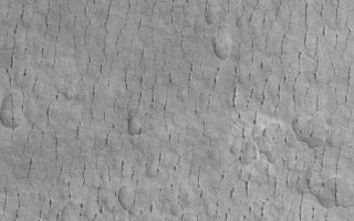 <h1>PIA04855:  Cracked and Pitted Plain</h1><div class="PIA04855" lang="en" style="width:800px;text-align:left;margin:auto;background-color:#000;padding:10px;max-height:150px;overflow:auto;">MGS MOC Release No. MOC2-536, 6 November 2003<p />This Mars Global Surveyor (MGS) Mars Orbiter Camera (MOC) image shows a typical view--at 1.5 meters (5 feet) per pixel--of surfaces in far western Utopia Planitia. In this region, the plains have developed cracks and pit chains arranged in a polygonal pattern. The pits form by collapse along the trend of a previously-formed crack. This picture is located near 45.0°N, 275.4°W. This April 2003 image covers an area 3 km (1.9 mi) wide and is illuminated by sunlight from the lower left.<br /><br /><a href="http://photojournal.jpl.nasa.gov/catalog/PIA04855" onclick="window.open(this.href); return false;" title="Voir l'image 	 PIA04855:  Cracked and Pitted Plain	  sur le site de la NASA">Voir l'image 	 PIA04855:  Cracked and Pitted Plain	  sur le site de la NASA.</a></div>