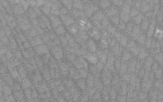 <h1>PIA04882:  Cracked South Polar Plain</h1><div class="PIA04882" lang="en" style="width:800px;text-align:left;margin:auto;background-color:#000;padding:10px;max-height:150px;overflow:auto;">MGS MOC Release No. MOC2-551, 21 November 2003<p />This Mars Global Surveyor (MGS) Mars Orbiter Camera (MOC) picture shows a complexly-cracked and eroded plain in the south polar region of Mars. This image was acquired just a few weeks ago, in late October 2003; as such, the processes that formed the nearly regular pattern of squiggly troughs and cracks are presently unknown. The image is located near 85.0°S, 100.8°W, and covers an area 3 km (1.9 mi) wide. The picture is illuminated by sunlight from the upper left.<br /><br /><a href="http://photojournal.jpl.nasa.gov/catalog/PIA04882" onclick="window.open(this.href); return false;" title="Voir l'image 	 PIA04882:  Cracked South Polar Plain	  sur le site de la NASA">Voir l'image 	 PIA04882:  Cracked South Polar Plain	  sur le site de la NASA.</a></div>