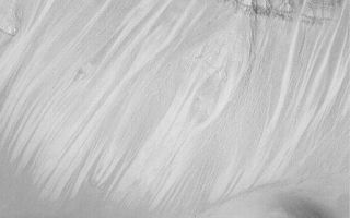 <h1>PIA04890:  Layers in Crater Wall</h1><div class="PIA04890" lang="en" style="width:512px;text-align:left;margin:auto;background-color:#000;padding:10px;max-height:150px;overflow:auto;">MGS MOC Release No. MOC2-555, 25 November 2003<p />This Mars Global Surveyor (MGS) Mars Orbiter Camera (MOC) picture shows layers exposed in the upper wall of a meteor impact crater, and the dry talus that has been shed from this layered slope. This September 2003 image is located near 30.2°N, 272.8°W. The image covers an area 3 km (1.9 mi) wide, and is illuminated by sunlight from the lower left.<br /><br /><a href="http://photojournal.jpl.nasa.gov/catalog/PIA04890" onclick="window.open(this.href); return false;" title="Voir l'image 	 PIA04890:  Layers in Crater Wall	  sur le site de la NASA">Voir l'image 	 PIA04890:  Layers in Crater Wall	  sur le site de la NASA.</a></div>