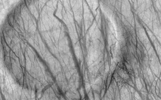 <h1>PIA04903:  Devil-Streaked Crater</h1><div class="PIA04903" lang="en" style="width:800px;text-align:left;margin:auto;background-color:#000;padding:10px;max-height:150px;overflow:auto;">MGS MOC Release No. MOC2-562, 2 December 2003<p />This September 2003 Mars Global Surveyor (MGS) Mars Orbiter Camera (MOC) image shows a plethora of dark streaks created during the recent southern spring by dust devils as they passed over and around an old, nearly filled, meteor impact crater. The circular feature is the former crater; the dark dots and specks on its rims are boulders. Dust devils create streaks by removing or disrupting thin coatings of fine, bright, dust on the surface. These are ephemeral features that will disappear before the next spring arrives in 2005. The crater is located near 57.4°S, 234.0°W. The image covers an area 3 km (1.9 mi) wide and is illuminated from the upper left.<br /><br /><a href="http://photojournal.jpl.nasa.gov/catalog/PIA04903" onclick="window.open(this.href); return false;" title="Voir l'image 	 PIA04903:  Devil-Streaked Crater	  sur le site de la NASA">Voir l'image 	 PIA04903:  Devil-Streaked Crater	  sur le site de la NASA.</a></div>