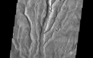 <h1>PIA05662:  Multiple Channels in Warrego Valles</h1><div class="PIA05662" lang="en" style="width:513px;text-align:left;margin:auto;background-color:#000;padding:10px;max-height:150px;overflow:auto;"><a href="/figures/PIA05662_fig1.jpg"> </a><br /><p />Released 26 March 2004<p />The Odyssey spacecraft has completed a full Mars year of observations of the red planet. For the next several weeks the Image of the Day will look back over this first mars year. It will focus on four themes: 1) the poles - with the seasonal changes seen in the retreat and expansion of the caps; 2) craters - with a variety of morphologies relating to impact materials and later alteration, both infilling and exhumation; 3) channels - the clues to liquid surface flow; and 4) volcanic flow features. While some images have helped answer questions about the history of Mars, many have raised new questions that are still being investigated as Odyssey continues collecting data as it orbits Mars.<p />The image shows an area in the Warrego Valles region. It was collected July 6, 2003 during northern summer season. The local time is 5pm. The image shows multiple channels dissecting the terrain. <p />With this image, the 448th, the THEMIS Image of the Day completes its second (Earth) year. (The first image, of <a href="/catalog/PIA03756">Nirgal Vallis</a>, was released on 27 March 2002.) On behalf of the THEMIS team, we'd like to thank you for your continued interest and we hope you continue to come back through our third year and beyond.<p />Image information: VIS instrument. Latitude -42.3, Longitude 267.5 East (92.5 West). 19 meter/pixel resolution.<p />Note: this THEMIS visual image has not been radiometrically nor geometrically calibrated for this preliminary release. An empirical correction has been performed to remove instrumental effects. A linear shift has been applied in the cross-track and down-track direction to approximate spacecraft and planetary motion. Fully calibrated and geometrically projected images will be released through the Planetary Data System in accordance with Project policies at a later time.<p />NASA's Jet Propulsion Laboratory manages the 2001 Mars Odyssey mission for NASA's Office of Space Science, Washington, D.C. The Thermal Emission Imaging System (THEMIS) was developed by Arizona State University, Tempe, in collaboration with Raytheon Santa Barbara Remote Sensing. The THEMIS investigation is led by Dr. Philip Christensen at Arizona State University. Lockheed Martin Astronautics, Denver, is the prime contractor for the Odyssey project, and developed and built the orbiter. Mission operations are conducted jointly from Lockheed Martin and from JPL, a division of the California Institute of Technology in Pasadena.<br /><br /><a href="http://photojournal.jpl.nasa.gov/catalog/PIA05662" onclick="window.open(this.href); return false;" title="Voir l'image 	 PIA05662:  Multiple Channels in Warrego Valles	  sur le site de la NASA">Voir l'image 	 PIA05662:  Multiple Channels in Warrego Valles	  sur le site de la NASA.</a></div>