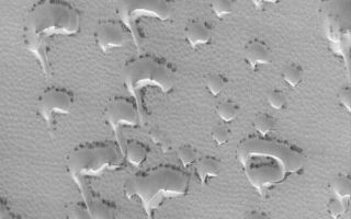 <h1>PIA05741:  Springtime Dunes, 2004</h1><div class="PIA05741" lang="en" style="width:488px;text-align:left;margin:auto;background-color:#000;padding:10px;max-height:150px;overflow:auto;"><p>12 April 2004<br />Today is April 12, 2004, the 43rd anniversary of the first human flight into space (Yuri Gagarin, 1961) and the 23rd anniversary of the first NASA Space Shuttle flight (Columbia, 1981). Meanwhile, on Mars, spring is in full swing in the martian northern hemisphere. With spring comes the annual defrosting of the north polar dunes. This Mars Global Surveyor (MGS) Mars Orbiter Camera (MOC) image, acquired on April 7, 2004, shows a field of small barchan (crescent-shaped) dunes covered with the remains of wintertime frost. The dark spots around the base of each dune mark the first signs of the spring thaw. The sand in these dunes is dark, like the black sand beaches of Hawaii or the dark, sandy soil of the rover, Opportunity, landing site, but in winter and spring their dark tone is obscured by bright carbon dioxide frost. This picture is located near 75.9°N, 45.3°W, and covers an area about 3 km (1.9 mi) across. Sunlight illuminates the scene from the lower left.</p><br /><br /><a href="http://photojournal.jpl.nasa.gov/catalog/PIA05741" onclick="window.open(this.href); return false;" title="Voir l'image 	 PIA05741:  Springtime Dunes, 2004	  sur le site de la NASA">Voir l'image 	 PIA05741:  Springtime Dunes, 2004	  sur le site de la NASA.</a></div>