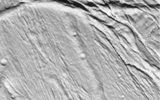 <h1>PIA06190:  Cassini Views Enceladus Up-Close</h1><div class="PIA06190" lang="en" style="width:775px;text-align:left;margin:auto;background-color:#000;padding:10px;max-height:150px;overflow:auto;"><p>Cassini took this image of the ropy, taffy-like topography on Saturn's moon Enceladus as it soared above the icy moon on Feb. 17, 2005.</p><p>This view, about 60 kilometers across (37 miles), shows several different kinds of ridge-and-trough topography, indicative of a variety of horizontal forces near the surface of this 505-kilometer (314-mile) diameter satellite.</p><p>Several different kinds of deformation are visible, and a small population of impact craters shows that this is some of the younger terrain on Enceladus. Sunlight illuminates the scene from the bottom.</p><p>Interestingly, the topographic relief is only about one kilometer, which is quite low for a small, low gravity satellite. However, this is consistent with other evidence that points to interior melting and resurfacing in Enceladus' history.</p><p>This view was obtained in visible light with the Cassini spacecraft narrow angle camera, at a distance of 10,750 kilometers (6,680 miles) from Enceladus, and at Sun-Enceladus-spacecraft, or phase, angle of 32 degrees. Image scale is 60 meters (197 feet) per pixel. The image has been contrast-enhanced to aid visibility.</p><p>A stereo or 3-D version of this region on Enceladus is also available (see <a href="/catalog/PIA06189">PIA06189</a>).</p><p>The Cassini-Huygens mission is a cooperative project of NASA, the European Space Agency and the Italian Space Agency. The Jet Propulsion Laboratory, a division of the California Institute of Technology in Pasadena, manages the mission for NASA's Science Mission Directorate, Washington, D.C. The Cassini orbiter and its two onboard cameras were designed, developed and assembled at JPL. The imaging team is based at the Space Science Institute, Boulder, Colo.</p><p>For more information about the Cassini-Huygens mission, visit <a href="http://saturn.jpl.nasa.gov">http://saturn.jpl.nasa.gov</a> and the Cassini imaging team home page, <a href="http://ciclops.org">http://ciclops.org</a>.</p><br /><br /><a href="http://photojournal.jpl.nasa.gov/catalog/PIA06190" onclick="window.open(this.href); return false;" title="Voir l'image 	 PIA06190:  Cassini Views Enceladus Up-Close	  sur le site de la NASA">Voir l'image 	 PIA06190:  Cassini Views Enceladus Up-Close	  sur le site de la NASA.</a></div>