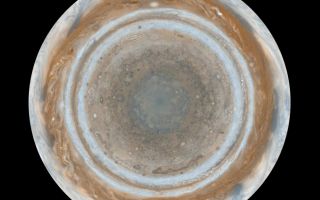 <h1>PIA07783:  Cassini's Best Maps of Jupiter (North Polar Map)</h1><div class="PIA07783" lang="en" style="width:800px;text-align:left;margin:auto;background-color:#000;padding:10px;max-height:150px;overflow:auto;"><p><a href="/figures/PIA07783_fig1.jpg"></a><a href="/figures/PIA07783_fig2.jpg"></a>North Polar without GridNorth Polar with Grid</p><p>This map is part of a group release of cylindrical and polar stereographic projections of Jupiter. For the other maps see <a href="/catalog/PIA07782">PIA07782</a> and <a href="/catalog/PIA07784">PIA07784</a>.</p><p>These color maps of Jupiter were constructed from images taken by the narrow-angle camera onboard NASA's Cassini spacecraft on Dec. 11 and 12, 2000, as the spacecraft neared Jupiter during its flyby of the giant planet. Cassini was on its way to Saturn. They are the most detailed global color maps of Jupiter ever produced. The smallest visible features are about 120 kilometers (75 miles) across.</p><p>The maps are composed of 36 images: a pair of images covering Jupiter's northern and southern hemispheres was acquired in two colors every hour for nine hours as Jupiter rotated beneath the spacecraft. Although the raw images are in just two colors, 750 nanometers (near-infrared) and 451 nanometers (blue), the map's colors are close to those the human eye would see when gazing at Jupiter.</p><p>The maps show a variety of colorful cloud features, including parallel reddish-brown and white bands, the Great Red Spot, multi-lobed chaotic regions, white ovals and many small vortices. Many clouds appear in streaks and waves due to continual stretching and folding by Jupiter's winds and turbulence. The bluish-gray features along the north edge of the central bright band are equatorial "hot spots," meteorological systems such as the one entered by NASA's Galileo probe. Small bright spots within the orange band north of the equator are lightning-bearing thunderstorms. The polar regions are less clearly visible because Cassini viewed them at an angle and through thicker atmospheric haze (such as the whitish material in the south polar map -- see <a href="/catalog/PIA07784">PIA07784</a>.</p><p>Pixels in the rectangular map cover equal increments of planetocentric latitude (which is measured relative to the center of the planet) and longitude, and extend to 180 degrees of latitude and 360 degrees of longitude.</p><p>The Cassini-Huygens mission is a cooperative project of NASA, the European Space Agency and the Italian Space Agency. The Jet Propulsion Laboratory, a division of the California Institute of Technology in Pasadena, manages the mission for NASA's Science Mission Directorate, Washington, D.C. The Cassini orbiter and its two onboard cameras were designed, developed and assembled at JPL. The imaging operations center is based at the Space Science Institute in Boulder, Colo.</p><p>For more information about the Cassini-Huygens mission visit <a href="http://saturn.jpl.nasa.gov">http://saturn.jpl.nasa.gov/home/index.cfm</a>. The Cassini imaging team homepage is at <a href="http://ciclops.org">http://ciclops.org</a>.</p><br /><br /><a href="http://photojournal.jpl.nasa.gov/catalog/PIA07783" onclick="window.open(this.href); return false;" title="Voir l'image 	 PIA07783:  Cassini's Best Maps of Jupiter (North Polar Map)	  sur le site de la NASA">Voir l'image 	 PIA07783:  Cassini's Best Maps of Jupiter (North Polar Map)	  sur le site de la NASA.</a></div>