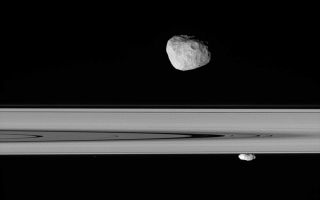 <h1>PIA08192:  So Close</h1><div class="PIA08192" lang="en" style="width:800px;text-align:left;margin:auto;background-color:#000;padding:10px;max-height:150px;overflow:auto;"><p>Saturn's moons Janus and Prometheus look close enough to touch in this stunningly detailed view.</p><p>From just beneath the ringplane, Cassini stares at Janus (181 kilometers, or 113 miles across) on the near side of the rings and Prometheus (102 kilometers, or 63 miles across) on the far side. The image shows that Prometheus is more elongated than Janus.</p><p>The view takes in the Cassini Division (4,800 kilometers, or 2,980 miles wide), from its outer edge to about halfway across its width.</p><p>The image was taken in visible light with the Cassini spacecraft narrow-angle camera on April 29, 2006 at a distance of approximately 218,000 kilometers (135,000 miles) from Janus and 379,000 kilometers (236,000 miles) from Prometheus. Image scale is about 1 kilometer (0.6 mile) per pixel on Janus and 2 kilometers (1 mile) per pixel on Prometheus.</p><p>The Cassini-Huygens mission is a cooperative project of NASA, the European Space Agency and the Italian Space Agency. The Jet Propulsion Laboratory, a division of the California Institute of Technology in Pasadena, manages the mission for NASA's Science Mission Directorate, Washington, D.C. The Cassini orbiter and its two onboard cameras were designed, developed and assembled at JPL. The imaging operations center is based at the Space Science Institute in Boulder, Colo.</p><p>For more information about the Cassini-Huygens mission visit <a href="http://saturn.jpl.nasa.gov">http://saturn.jpl.nasa.gov/home/index.cfm</a>. The Cassini imaging team homepage is at <a href="http://ciclops.org">http://ciclops.org</a>.</p><br /><br /><a href="http://photojournal.jpl.nasa.gov/catalog/PIA08192" onclick="window.open(this.href); return false;" title="Voir l'image 	 PIA08192:  So Close	  sur le site de la NASA">Voir l'image 	 PIA08192:  So Close	  sur le site de la NASA.</a></div>