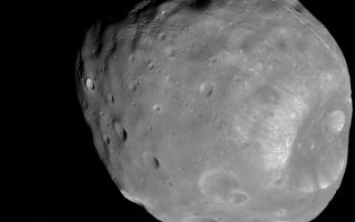 <h1>PIA10366:  Phobos from 6,800 Kilometers</h1><div class="PIA10366" lang="en" style="width:800px;text-align:left;margin:auto;background-color:#000;padding:10px;max-height:150px;overflow:auto;"><p>The High Resolution Imaging Science Experiment (HiRISE) camera on NASA's Mars Reconnaissance Orbiter took two images of the larger of Mars' two moons, Phobos, within 10 minutes of each other on March 23, 2008. This is the first, taken from a distance of about 6,800 kilometers (about 4,200 miles). The illuminated part of Phobos seen in the images is about 21 kilometers (13 miles) across.</p><p>The most prominent feature in the images is the large crater Stickney in the lower right. With a diameter of 9 kilometers (5.6 miles), it is the largest feature on Phobos. A series of troughs and crater chains is obvious on other parts of the moon. Although many appear radial to Stickney in this image, recent studies from the European Space Agency's Mars Express orbiter indicate that they are not related to Stickney. Instead, they may have formed when material ejected from impacts on Mars later collided with Phobos. The lineated textures on the walls of Stickney and other large craters are landslides formed from materials falling into the crater interiors in the weak Phobos gravity (less than one one-thousandth of the gravity on Earth).</p><p>In the full-resolution version of this image, a pixel encompasses 6.8 meters (22 feet), providing a resolution (smallest visible feature) of about 20 meters (about 65 feet). Although the image is displayed here in black and white, data from HiRISE's three color channels were used to give higher signal-to-noise, thereby increasing detail. The image is in the HiRISE catalog as PSP_007769_9010.</p><p>NASA's Jet Propulsion Laboratory, a division of the California Institute of Technology in Pasadena, manages the Mars Reconnaissance Orbiter for NASA's Science Mission Directorate, Washington. Lockheed Martin Space Systems, Denver, is the prime contractor for the project and built the spacecraft. The High Resolution Imaging Science Experiment is operated by the University of Arizona, Tucson, and the instrument was built by Ball Aerospace & Technologies Corp., Boulder, Colo.<br /><br /><a href="http://photojournal.jpl.nasa.gov/catalog/PIA10366" onclick="window.open(this.href); return false;" title="Voir l'image 	 PIA10366:  Phobos from 6,800 Kilometers	  sur le site de la NASA">Voir l'image 	 PIA10366:  Phobos from 6,800 Kilometers	  sur le site de la NASA.</a></div>