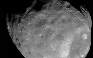 <h1>PIA10367:  Phobos from 5,800 Kilometers</h1><div class="PIA10367" lang="en" style="width:800px;text-align:left;margin:auto;background-color:#000;padding:10px;max-height:150px;overflow:auto;"><p>The High Resolution Imaging Science Experiment (HiRISE) camera on NASA's Mars Reconnaissance Orbiter took two images of the larger of Mars' two moons, Phobos, within 10 minutes of each other on March 23, 2008. This is the second, taken from a distance of about 5,800 kilometers (about 3,600 miles). The illuminated part of Phobos seen in the images is about 21 kilometers (13 miles) across.</p><p>The most prominent feature in the images is the large crater Stickney in the lower right. With a diameter of 9 kilometers (5.6 miles), it is the largest feature on Phobos. A series of troughs and crater chains is obvious on other parts of the moon. Although many appear radial to Stickney in this image, recent studies from the European Space Agency's Mars Express orbiter indicate that they are not related to Stickney. Instead, they may have formed when material ejected from impacts on Mars later collided with Phobos. The lineated textures on the walls of Stickney and other large craters are landslides formed from materials falling into the crater interiors in the weak Phobos gravity (less than one one-thousandth of the gravity on Earth).</p><p>In the full-resolution version of this image, a pixel encompasses 5.8 meters (19 feet), providing a resolution (smallest visible feature) of about 15 meters (about 50 feet). Previous pictures from NASA's Mars Global Surveyor are of slightly higher resolution, at 4 meters (13 feet) per pixel. However, the HiRISE images have higher signal-to-noise, making the new data some of the best ever for Phobos. </p><p>Although the image is displayed here in black and white, data from HiRISE's three color channels were used to give higher signal-to-noise, thereby increasing detail. The image is in the HiRISE catalog as PSP_007769_9015.</p><p>NASA's Jet Propulsion Laboratory, a division of the California Institute of Technology in Pasadena, manages the Mars Reconnaissance Orbiter for NASA's Science Mission Directorate, Washington. Lockheed Martin Space Systems, Denver, is the prime contractor for the project and built the spacecraft. The High Resolution Imaging Science Experiment is operated by the University of Arizona, Tucson, and the instrument was built by Ball Aerospace & Technologies Corp., Boulder, Colo.<br /><br /><a href="http://photojournal.jpl.nasa.gov/catalog/PIA10367" onclick="window.open(this.href); return false;" title="Voir l'image 	 PIA10367:  Phobos from 5,800 Kilometers	  sur le site de la NASA">Voir l'image 	 PIA10367:  Phobos from 5,800 Kilometers	  sur le site de la NASA.</a></div>
