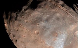 <h1>PIA10369:  Phobos from 5,800 Kilometers (Color)</h1><div class="PIA10369" lang="en" style="width:800px;text-align:left;margin:auto;background-color:#000;padding:10px;max-height:150px;overflow:auto;"><p>The High Resolution Imaging Science Experiment (HiRISE) camera on NASA's Mars Reconnaissance Orbiter took two images of the larger of Mars' two moons, Phobos, within 10 minutes of each other on March 23, 2008. This is the second, taken from a distance of about 5,800 kilometers (about 3,600 miles). It is presented in color by combining data from the camera's blue-green, red, and near-infrared channels. </p><p>The illuminated part of Phobos seen in the images is about 21 kilometers (13 miles) across. The most prominent feature in the images is the large crater Stickney in the lower right. With a diameter of 9 kilometers (5.6 miles), it is the largest feature on Phobos. </p><p>The color data accentuate details not apparent in black-and-white images. For example, materials near the rim of Stickney appear bluer than the rest of Phobos. Based on analogy with materials on our own moon, this could mean this surface is fresher, and therefore younger, than other parts of Phobos.</p><p>A series of troughs and crater chains is obvious on other parts of the moon. Although many appear radial to Stickney in this image, recent studies from the European Space Agency's Mars Express orbiter indicate that they are not related to Stickney. Instead, they may have formed when material ejected from impacts on Mars later collided with Phobos. The lineated textures on the walls of Stickney and other large craters are landslides formed from materials falling into the crater interiors in the weak Phobos gravity (less than one one-thousandth of the gravity on Earth).</p><p>In the full-resolution version of this image, a pixel encompasses 5.8 meters (19 feet), providing a resolution (smallest visible feature) of about 15 meters (about 50 feet). Previous pictures from NASA's Mars Global Surveyor are of slightly higher resolution, at 4 meters (13 feet) per pixel. However, the HiRISE images have higher signal-to-noise, making the new data some of the best ever for Phobos. This image is in the HiRISE catalog as PSP_007769_9015.</p><p>NASA's Jet Propulsion Laboratory, a division of the California Institute of Technology in Pasadena, manages the Mars Reconnaissance Orbiter for NASA's Science Mission Directorate, Washington. Lockheed Martin Space Systems, Denver, is the prime contractor for the project and built the spacecraft. The High Resolution Imaging Science Experiment is operated by the University of Arizona, Tucson, and the instrument was built by Ball Aerospace & Technologies Corp., Boulder, Colo.<br /><br /><a href="http://photojournal.jpl.nasa.gov/catalog/PIA10369" onclick="window.open(this.href); return false;" title="Voir l'image 	 PIA10369:  Phobos from 5,800 Kilometers (Color)	  sur le site de la NASA">Voir l'image 	 PIA10369:  Phobos from 5,800 Kilometers (Color)	  sur le site de la NASA.</a></div>