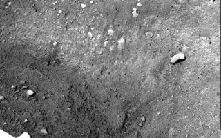 <h1>PIA10752:  Scoopful of Martian Soil After Release</h1><div class="PIA10752" lang="en" style="width:640px;text-align:left;margin:auto;background-color:#000;padding:10px;max-height:150px;overflow:auto;"><p>This sequence of two images was acquired by NASAs Phoenix Mars Landers Surface Stereo Imager on sols 6 and 7—the sixth and seventh days of the mission (May 31 and June 1, 2008). Both images show an area to the west of the digging site informally known as "Knave of Hearts." The second image shows the movement and shadow of the Robotic Arm. Between Phoenix's Arm and the shadow is a small handful of Martian soil that has been released from the Robotic Arm onto the surface.</p><p>The Phoenix Mission is led by the University of Arizona, Tucson, on behalf of NASA. Project management of the mission is by NASA's Jet Propulsion Laboratory, Pasadena, Calif. Spacecraft development is by Lockheed Martin Space Systems, Denver.<br /><br /><a href="http://photojournal.jpl.nasa.gov/catalog/PIA10752" onclick="window.open(this.href); return false;" title="Voir l'image 	 PIA10752:  Scoopful of Martian Soil After Release	  sur le site de la NASA">Voir l'image 	 PIA10752:  Scoopful of Martian Soil After Release	  sur le site de la NASA.</a></div>