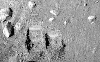<h1>PIA10775:  "Dodo" and "Baby Bear" Trenches</h1><div class="PIA10775" lang="en" style="width:800px;text-align:left;margin:auto;background-color:#000;padding:10px;max-height:150px;overflow:auto;"><p>NASA's Phoenix Mars Lander's Surface Stereo Imager took this image on Sol 11 (June 5, 2008), the eleventh day after landing. It shows the trenches dug by Phoenix's Robotic Arm. The trench on the left is informally called "Dodo" and was dug as a test. The trench on the right is informally called "Baby Bear." The sample dug from Baby Bear will be delivered to the Phoenix's Thermal and Evolved-Gas Analyzer, or TEGA. The Baby Bear trench is 9 centimeters (3.1 inches) wide and 4 centimeters (1.6 inches) deep.</p><p>The Phoenix Mission is led by the University of Arizona, Tucson, on behalf of NASA. Project management of the mission is by NASAs Jet Propulsion Laboratory, Pasadena, Calif. Spacecraft development is by Lockheed Martin Space Systems, Denver.<br /><br /><a href="http://photojournal.jpl.nasa.gov/catalog/PIA10775" onclick="window.open(this.href); return false;" title="Voir l'image 	 PIA10775:  "Dodo" and "Baby Bear" Trenches	  sur le site de la NASA">Voir l'image 	 PIA10775:  "Dodo" and "Baby Bear" Trenches	  sur le site de la NASA.</a></div>